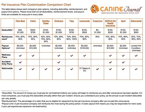 Best pet insurance providers UK 2024 .